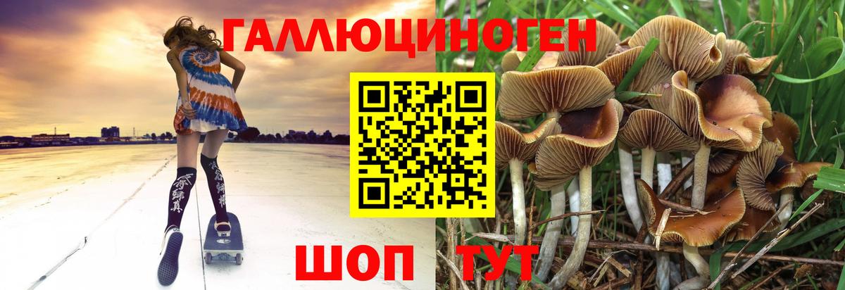 Псилоцибиновые грибы мицелий  Галлюциногенные грибы ЛСД  Щёлково  Вход с VPN 