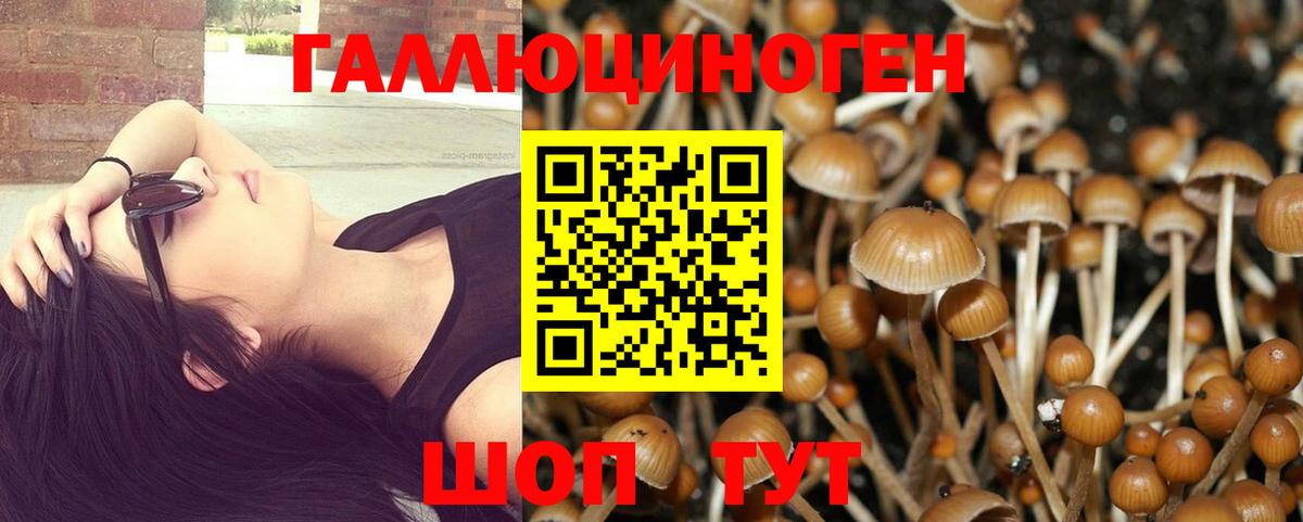 Псилоцибиновые грибы Cubensis Щёлково